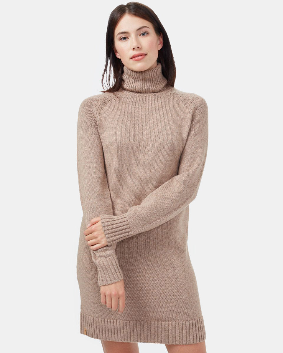 Stylish Sustainable Knit High - line Turtleneck Winter Dress