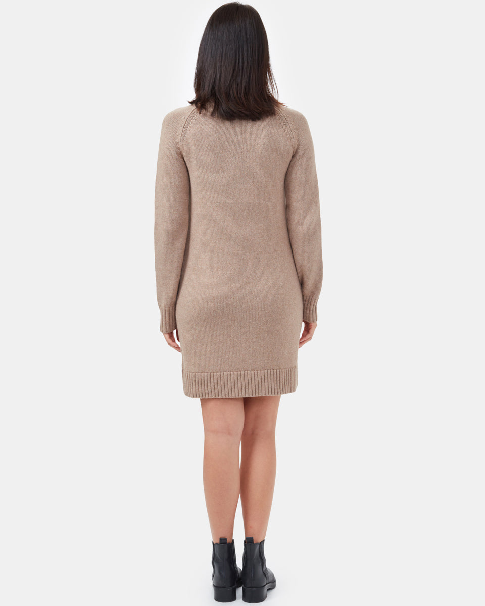 Stylish Sustainable Knit High - line Turtleneck Winter Dress