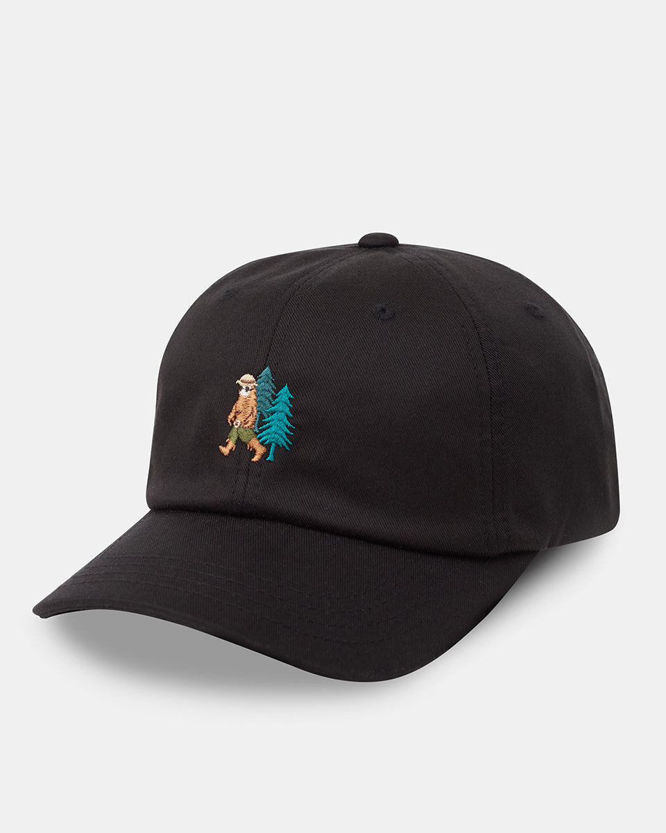 Summer Outdoor Sasquatch Peak Dad Hat for Everyday Wear